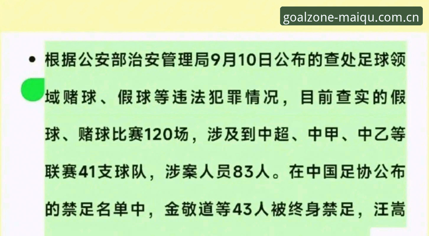 揭秘足坛反腐风暴：17人终身禁足背后的真相